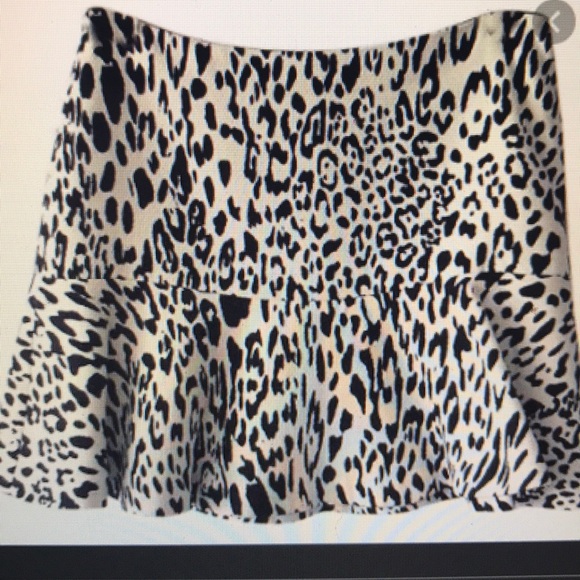“ZARA”  NWT Animal Print Mini Skirt . - Picture 2 of 8